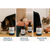 CoatComfort Salmon Oil for Cats